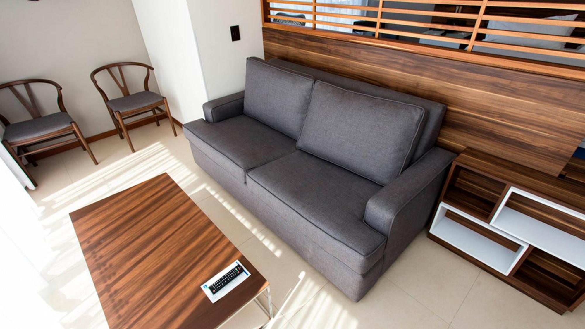 Executive Suite 1 King size Bed