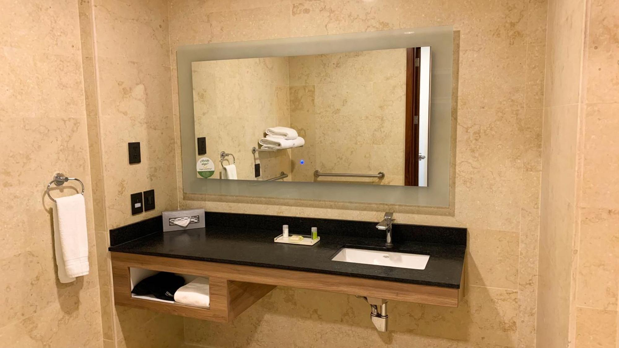 Standard King Room Accessible