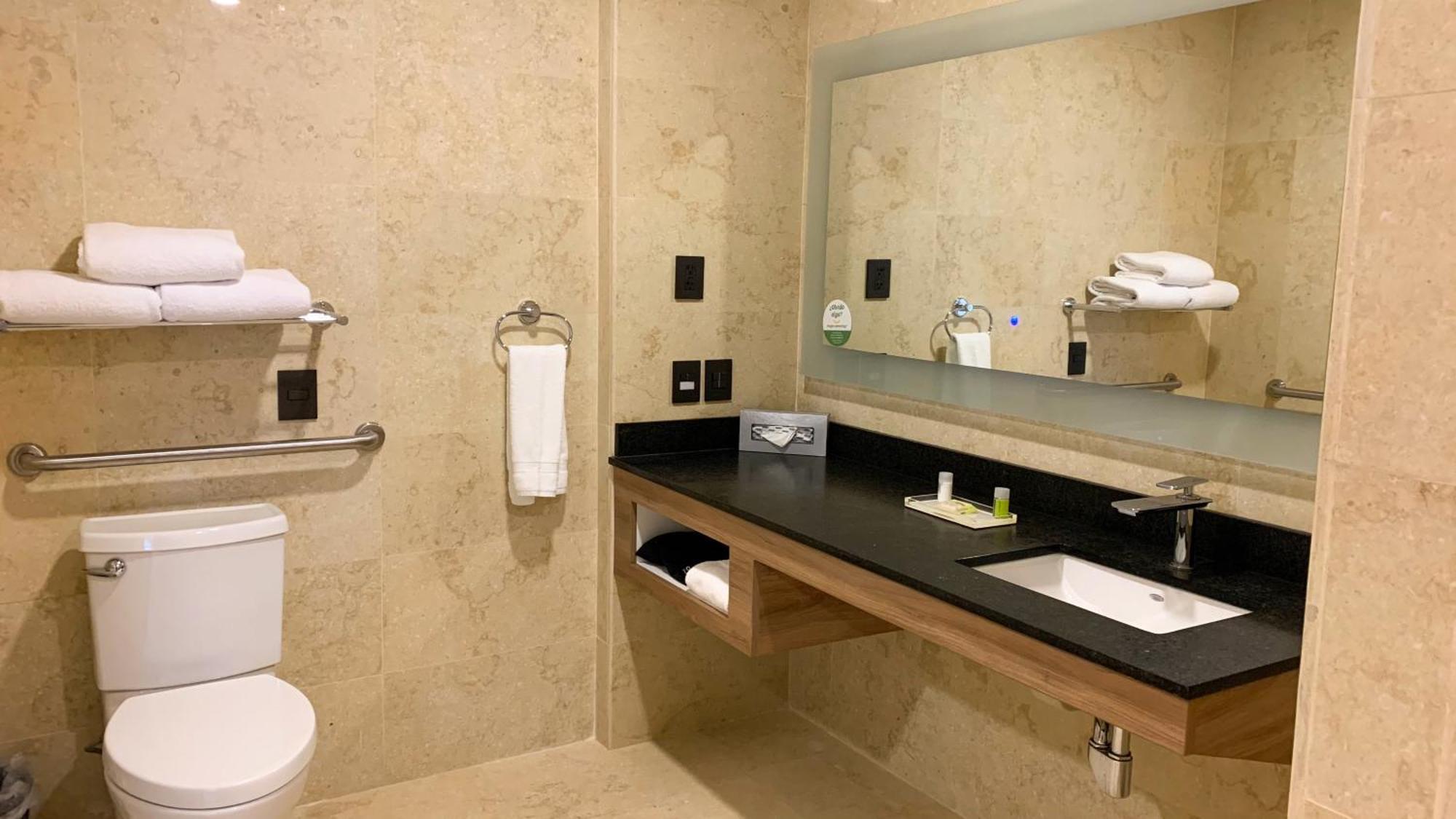 Standard King Room Accessible