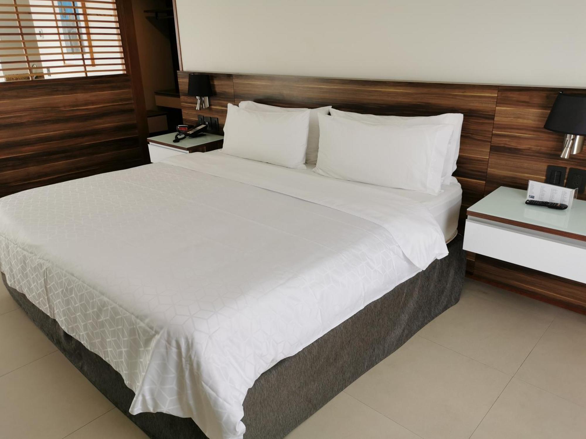 Executive Suite 1 King size Bed